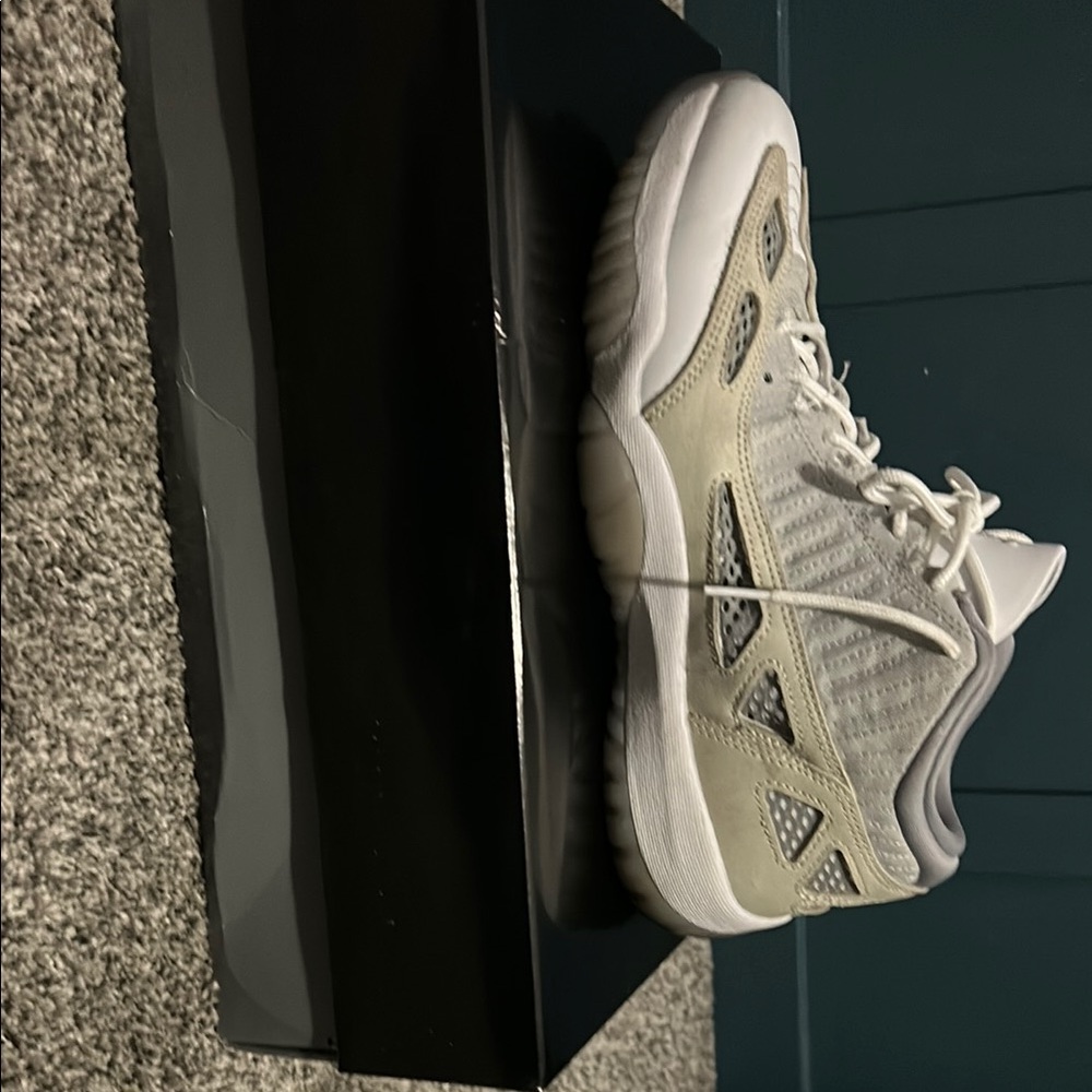 Jordan 11 retro low ie 10.5